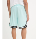 Karl Kani Small Signature Essential Mesh Shorts 