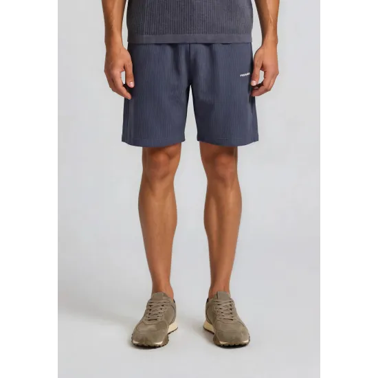 Pegador Troy Plissee Shorts Fog  Μπλε