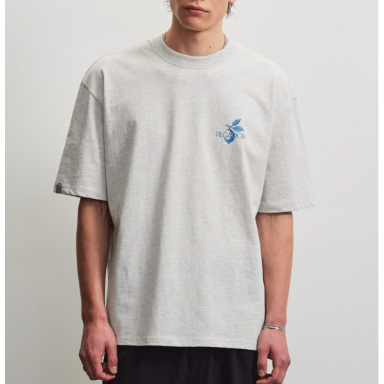Pegador Palmela Oversized Tee Cloud Grey Melange Γκρι