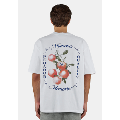 Pegador Frombork Oversized Tee White  Άσπρο