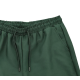 Pegador Logo Swim Shorts Πράσινο