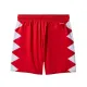 SPRAYGROUND RED VSM SWIM SHORTS Κόκκινο