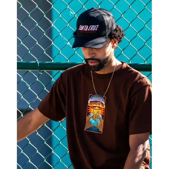 Santa Cruz Kendall EOTW Mens Santa Cruz T-Shirt Καφέ