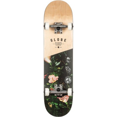 GLOBE G1 INSIGNIA 7.75'' MAPLE THORNBUSH SKATE Πολύχρωμο GLOBE G1 INSIGNIA 7.75'' MAPLE THORNBUSH SKATE Πολύχρωμο