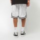 Karl Kani Small Signature Pinstripe Mesh Shorts Άσπρο
