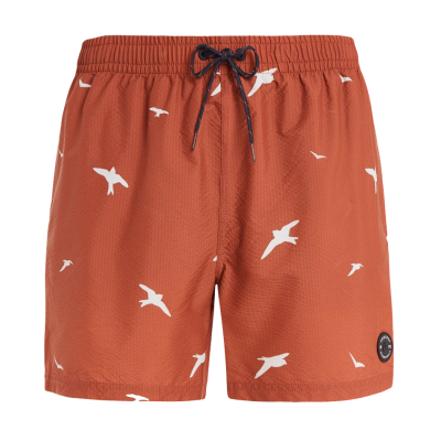 Protest Prtzinzu Swim short Πορτοκαλί Protest Prtzinzu Swim short Πορτοκαλί
