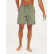 Protest PRTBAKY Swim shorts Artichoke green (Green