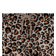 THE DUDES WILD DUDES SWIM SHORTS MULTICOLOR Πολύχρωμο THE DUDES WILD DUDES SWIM SHORTS MULTICOLOR Πολύχρωμο